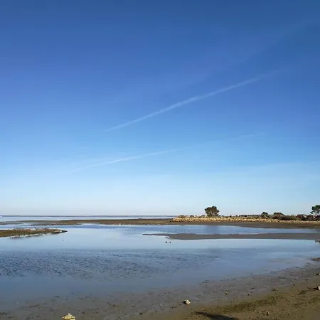 Confort Et Charme A 4km D'arcachon Centre Villa *